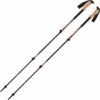 BLACK DIAMOND TRAIL CORK TREKKING POLES PICANTE 23 2 BLACK DIAMOND TRAIL CORK TREKKING POLES PICANTE 23 -Outdoor Camping Store 9 87122 bd112526 pic 01