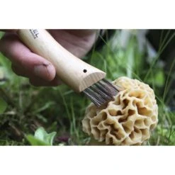 OPINEL N°08 CHAMPIGNON HÊTRE 23 -Outdoor Camping Store 9 88619 op001252 04