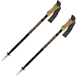 FIZAN COMPACT 1947 + BAG 23